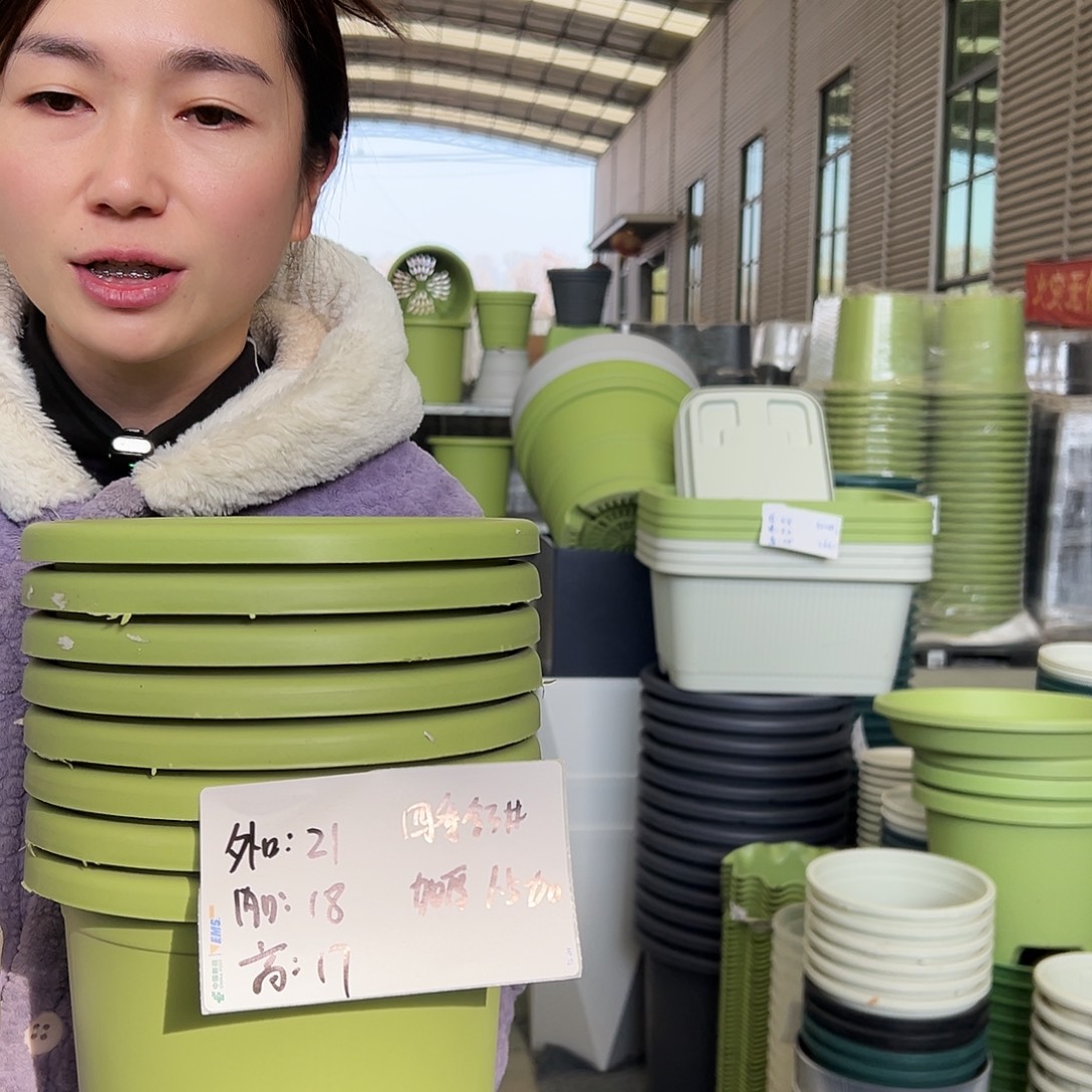 四季盆3#果绿10个无托