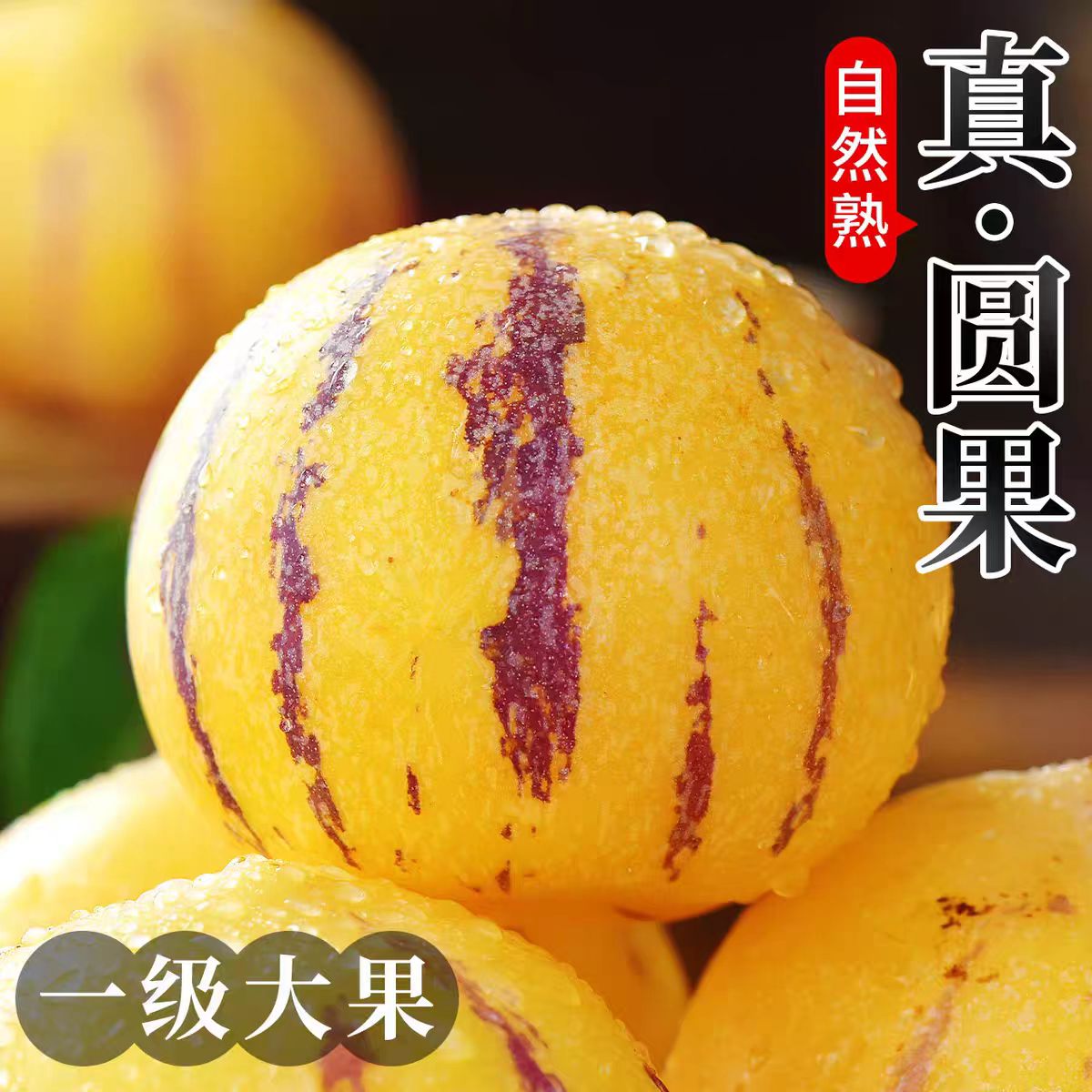 云南石林应季果圆果黄肉新鲜清甜多汁