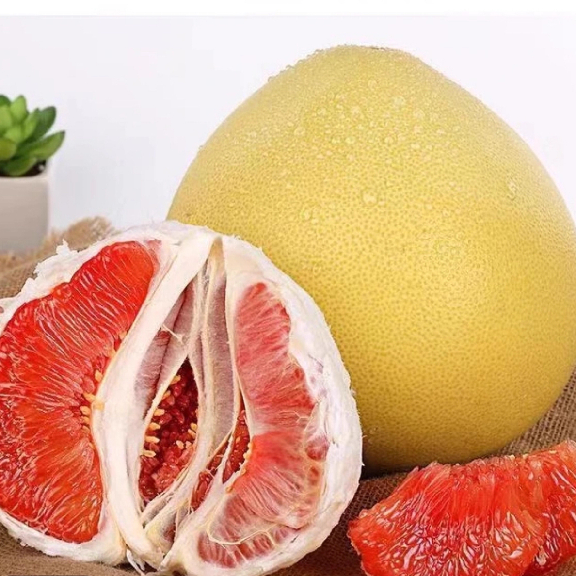 正宗嫁接红心蜜柚福建平和果树苗南北庭院绿植物花园好成活