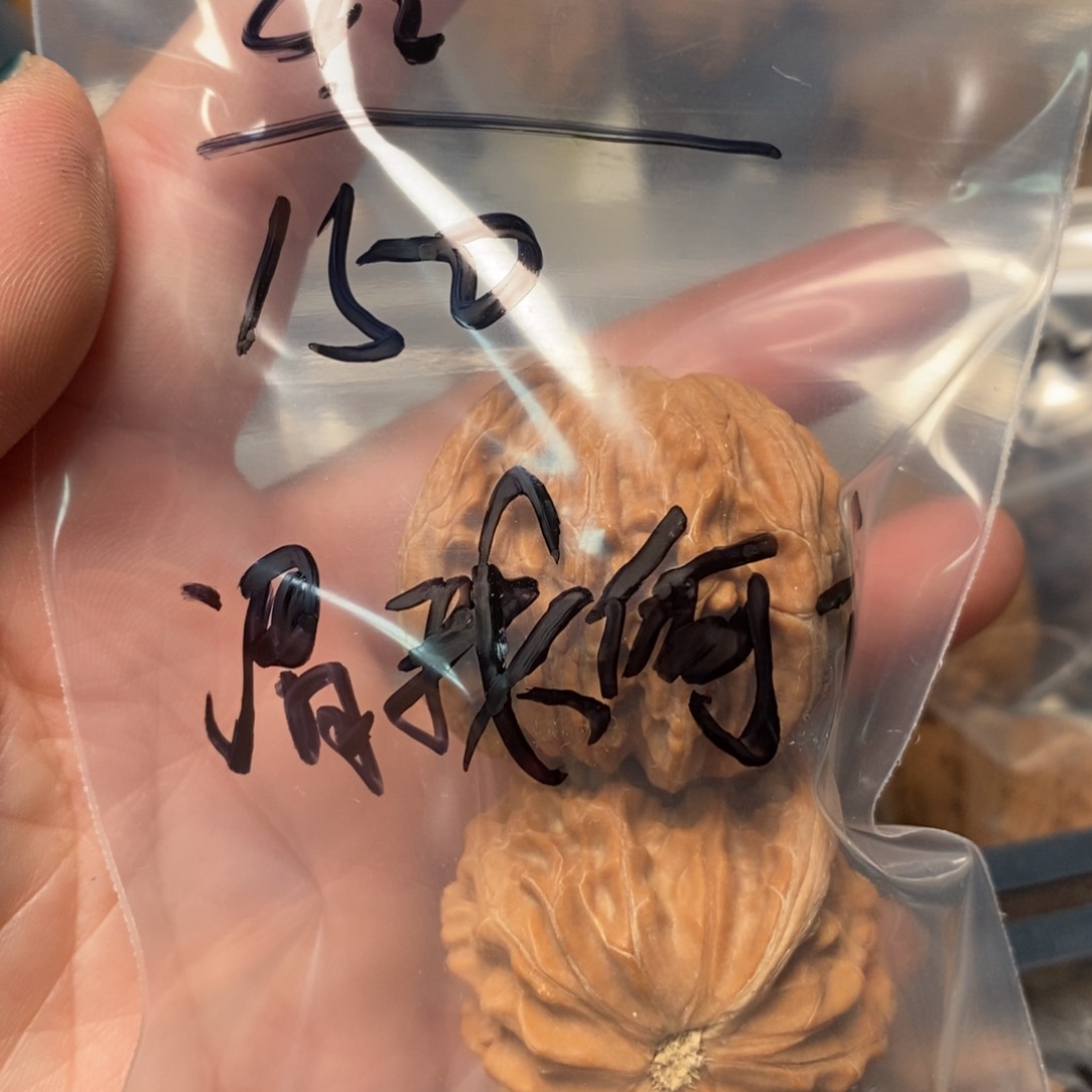 文玩核桃吊坠谓**愁1111111111111111