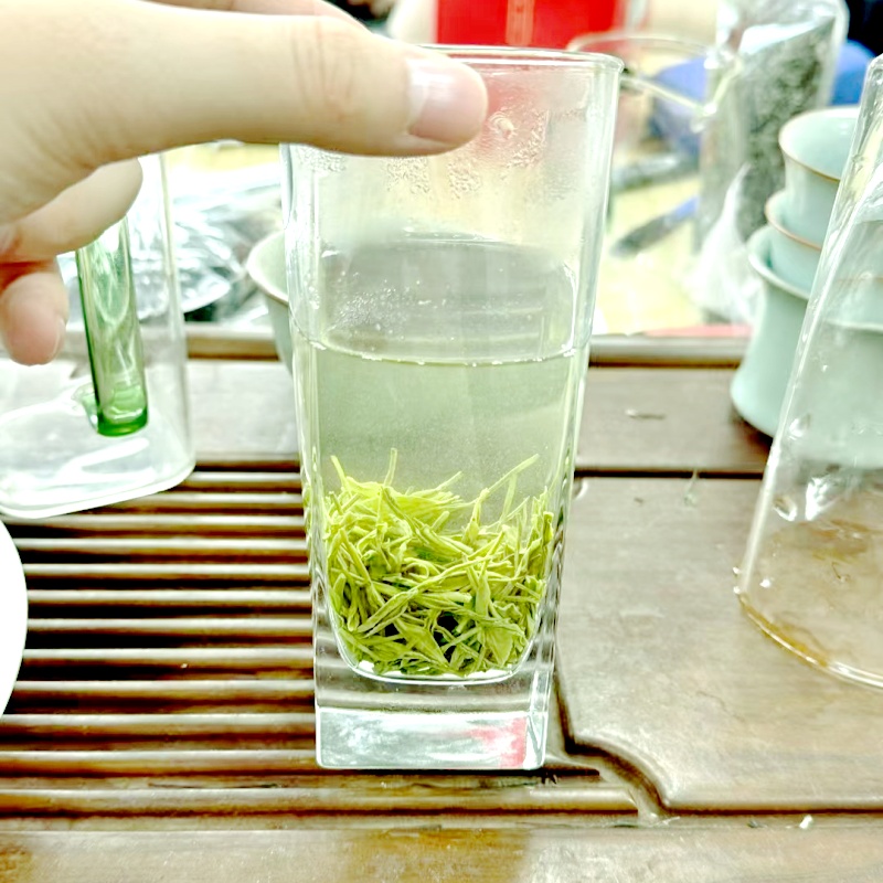 杨茗山2025新茶毛尖 明前高山云雾毛尖绿茶 保障运费险·7天无理由