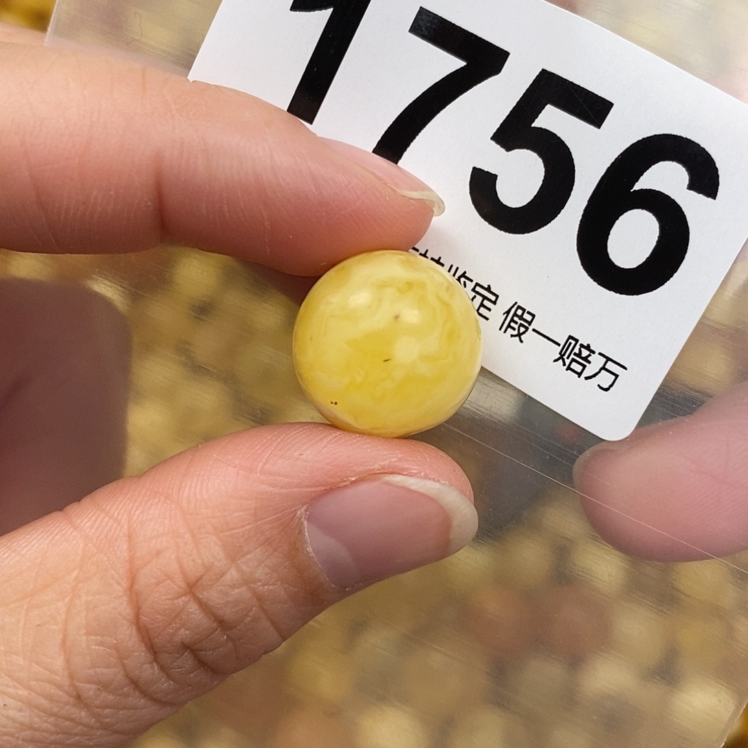 蜜蜡未镶嵌珠宝奇石16.1