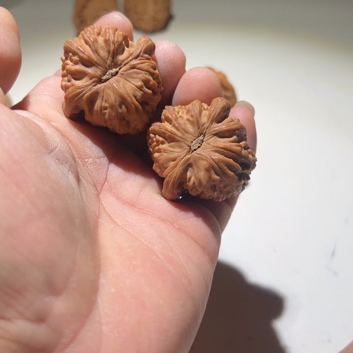 亮***哥文玩核桃把件闷白