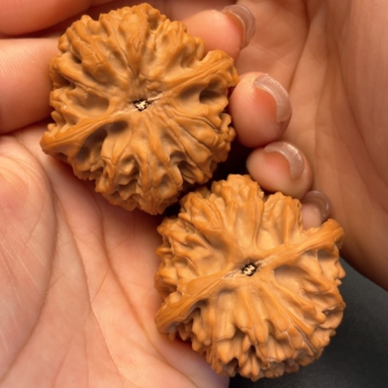 文玩核桃把件B***i43苹果园