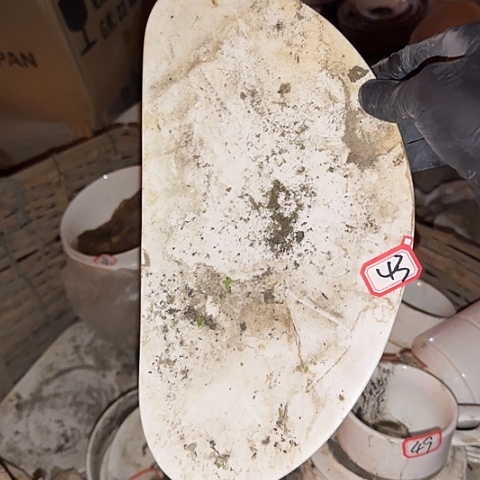 瓷片国营厂28厘米43