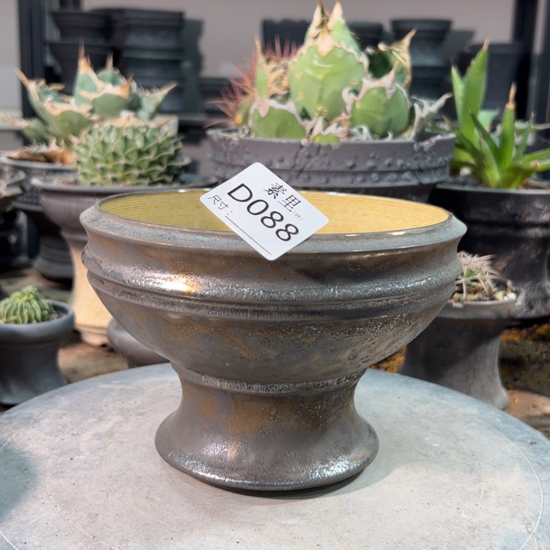 景德镇手工素里内面15.5高12