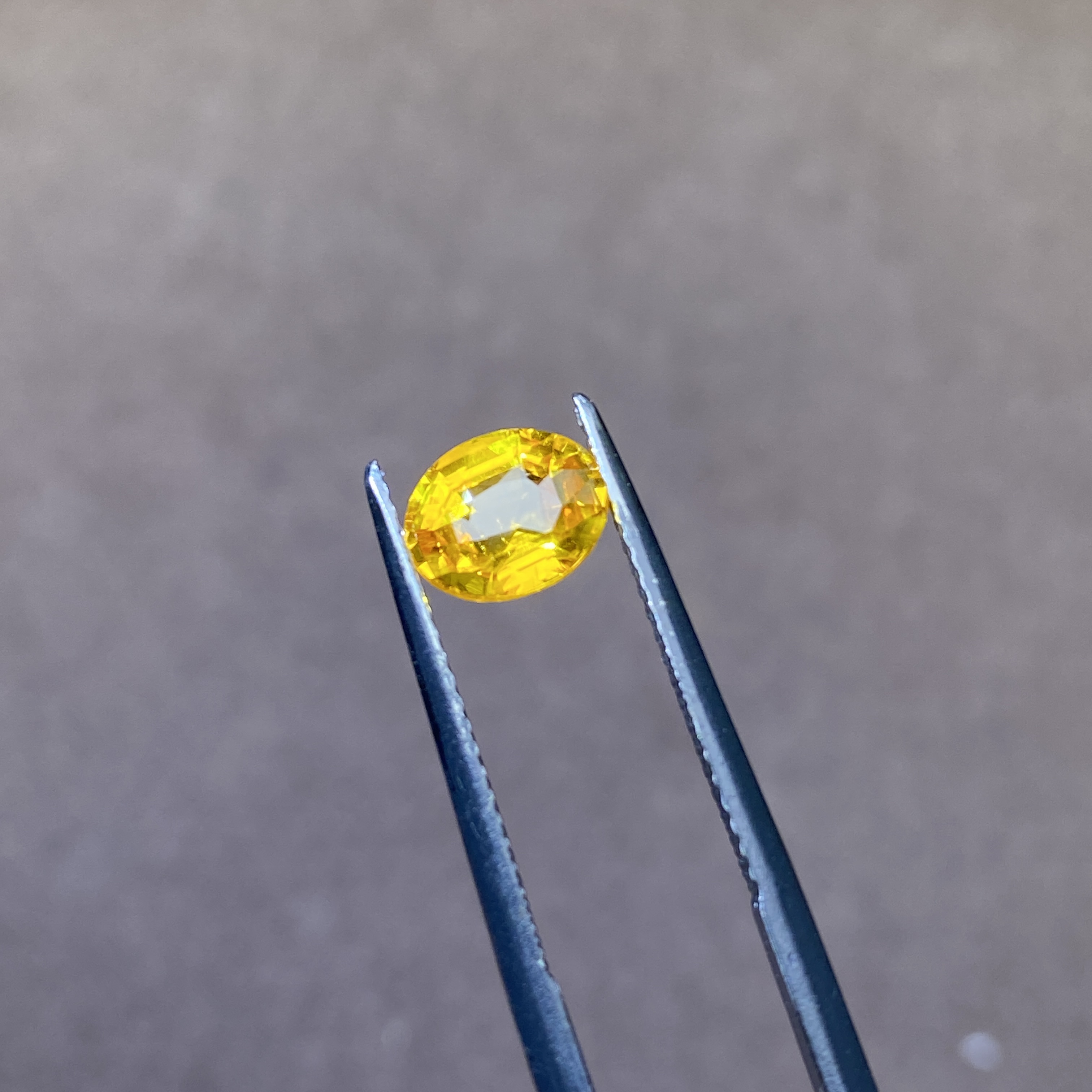  24G017 有烧黄色蓝宝石 1.50克拉