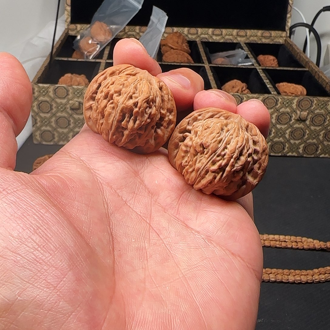 吊坠柏香籽/百香籽正品21年汉高楼，专柜可验