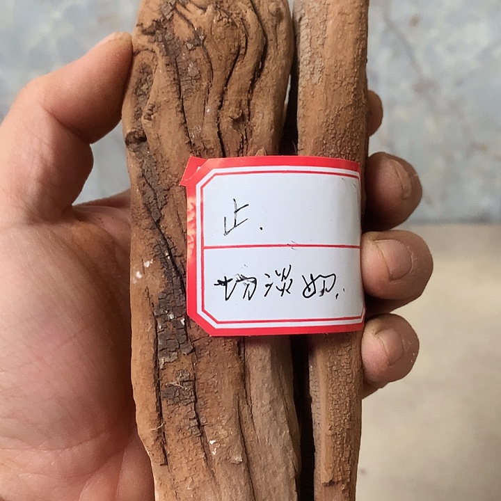 止***安大叶紫檀（黑酸枝木类）