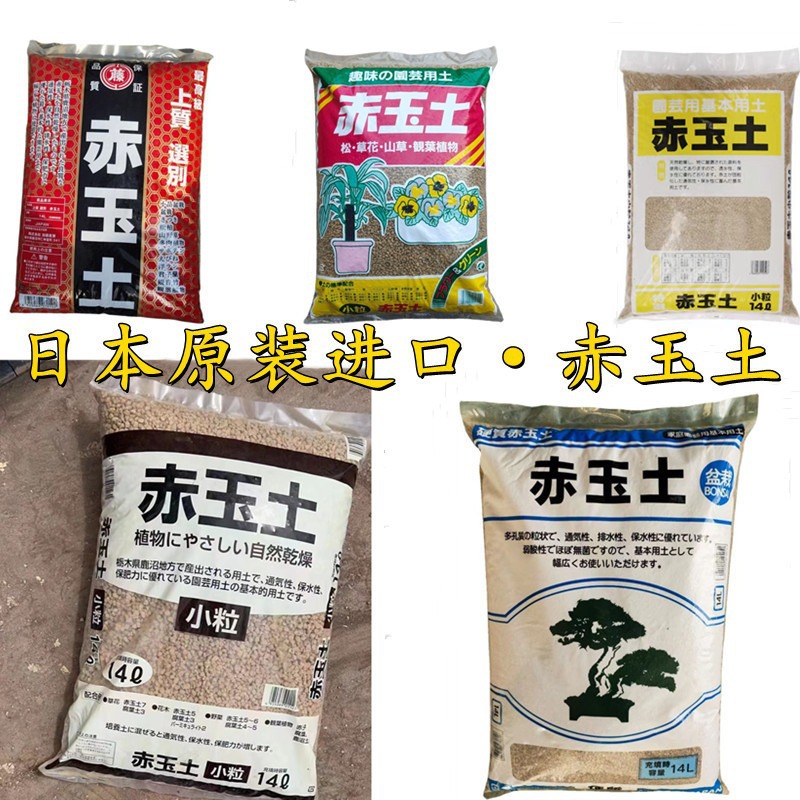 赤玉土栃木多肉兰花植物九米营养颗粒土铺面石加藤大柿园艺基质