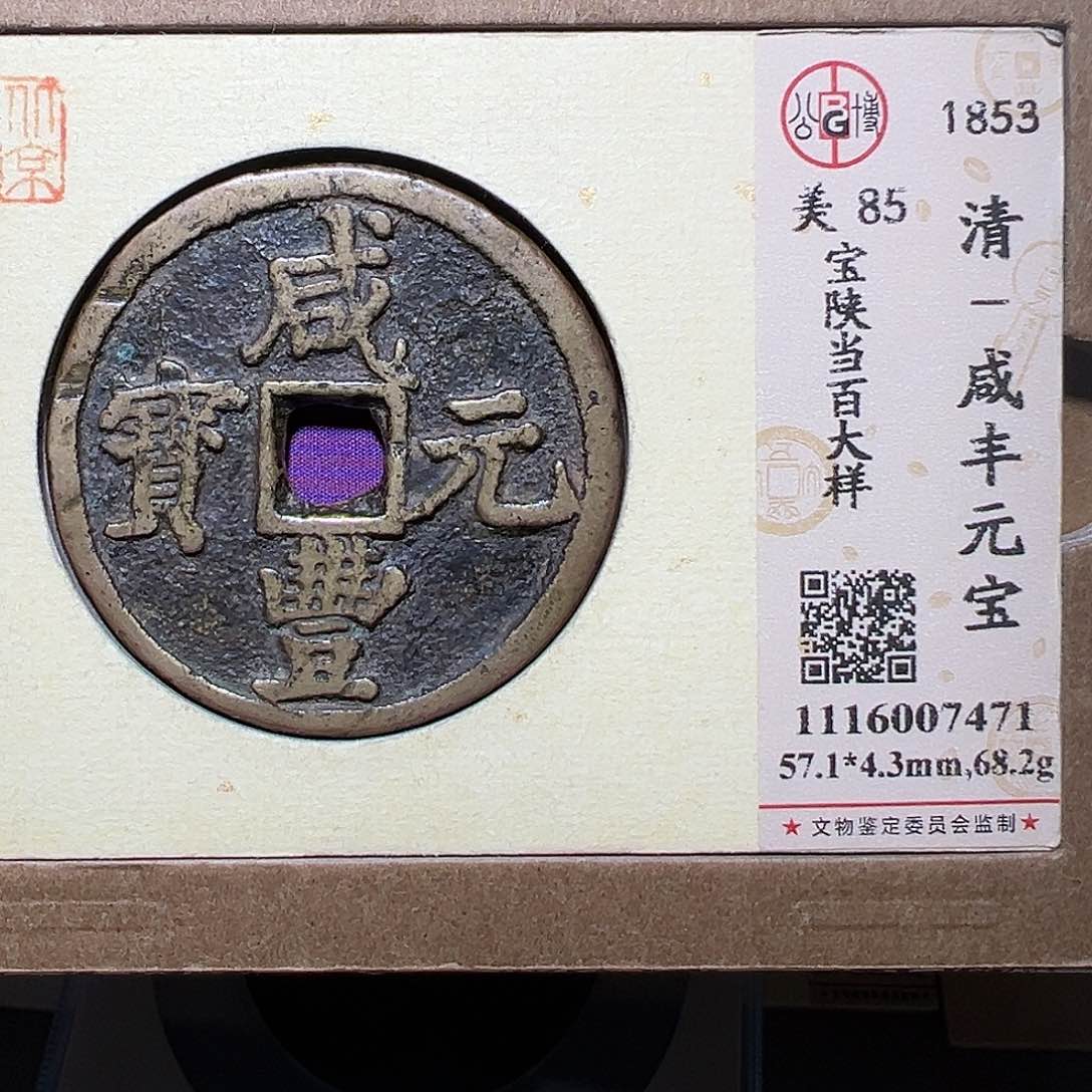 铜悸*汐11111111111111111