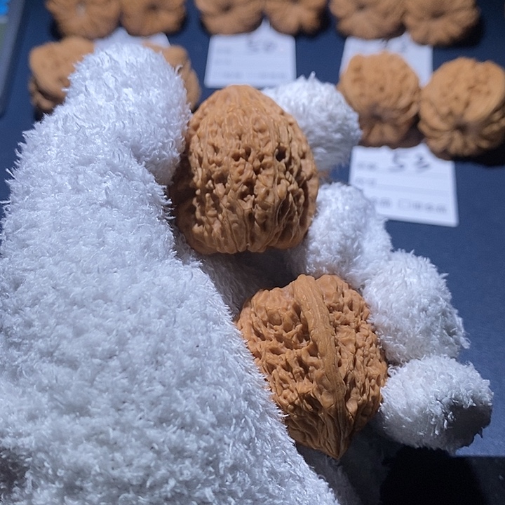 王***哥核桃南疆石丑疆34.5尺