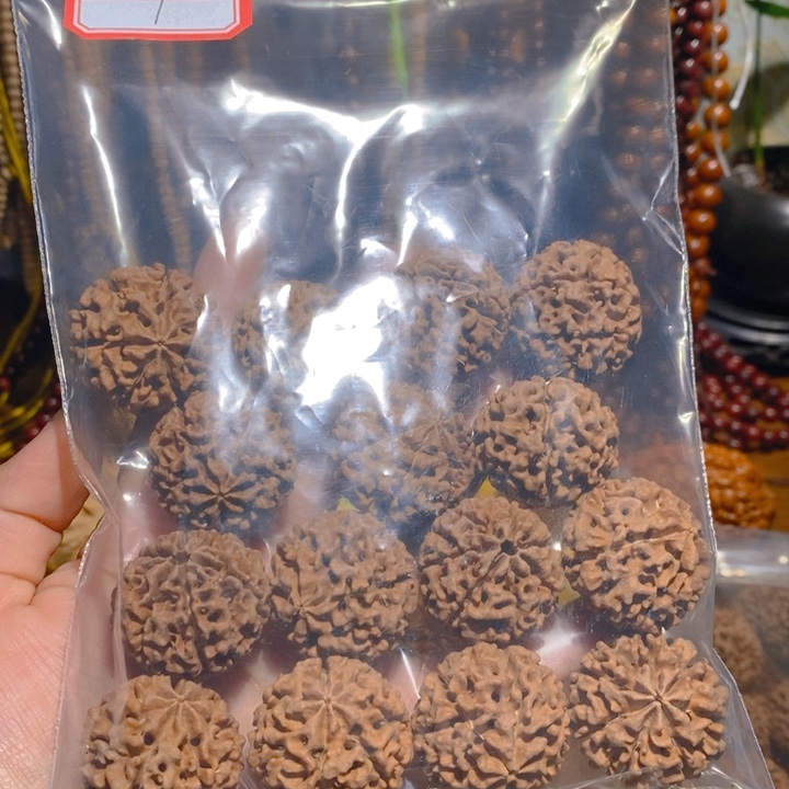 野生多瓣大金刚手持12颗307