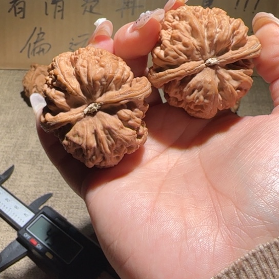 大叶紫檀（黑酸枝木类）你**车