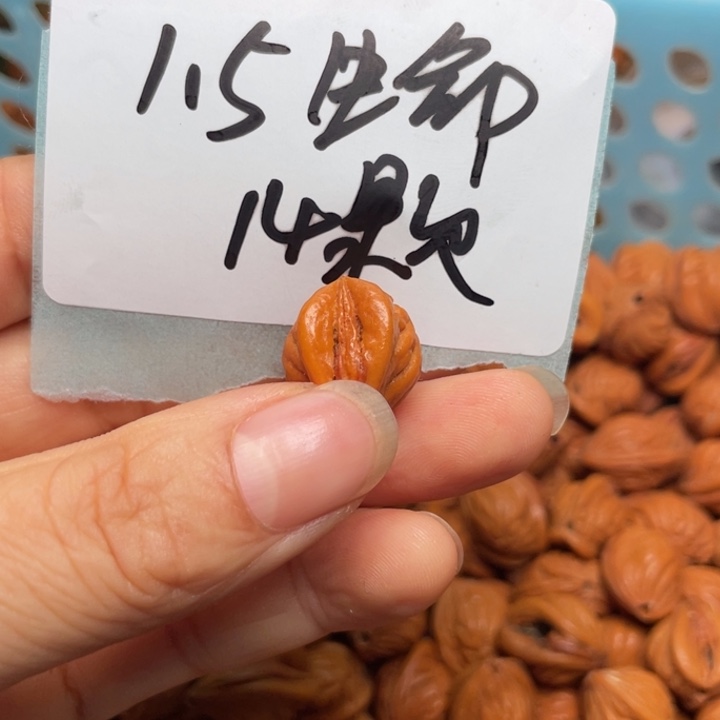桃核手串龙纹桃核59