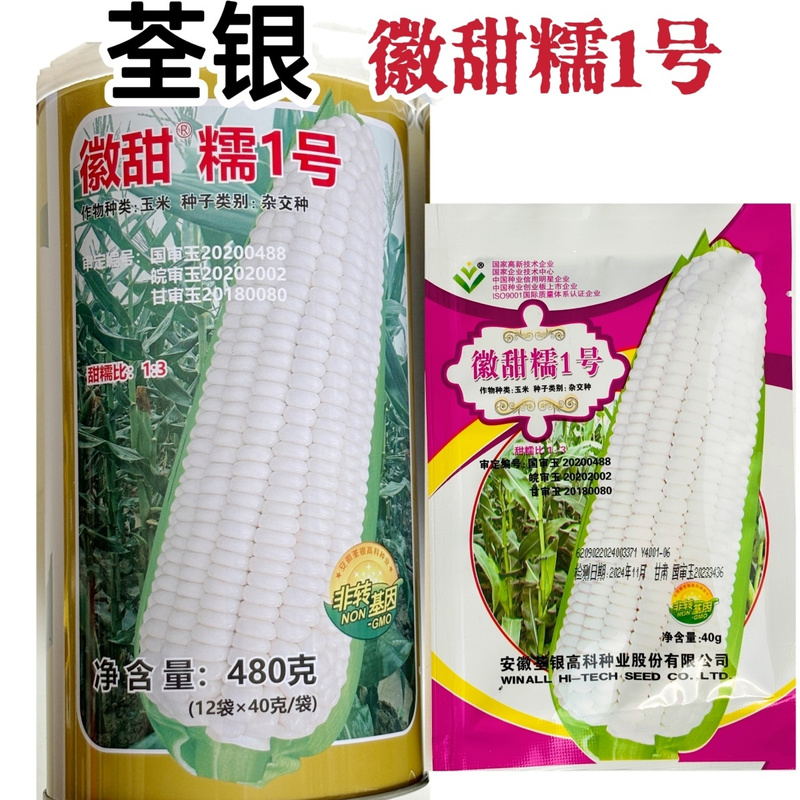 徽甜糯1号糯玉米种子非转基因白色甜糯玉米甜加糯玉米种子春秋播