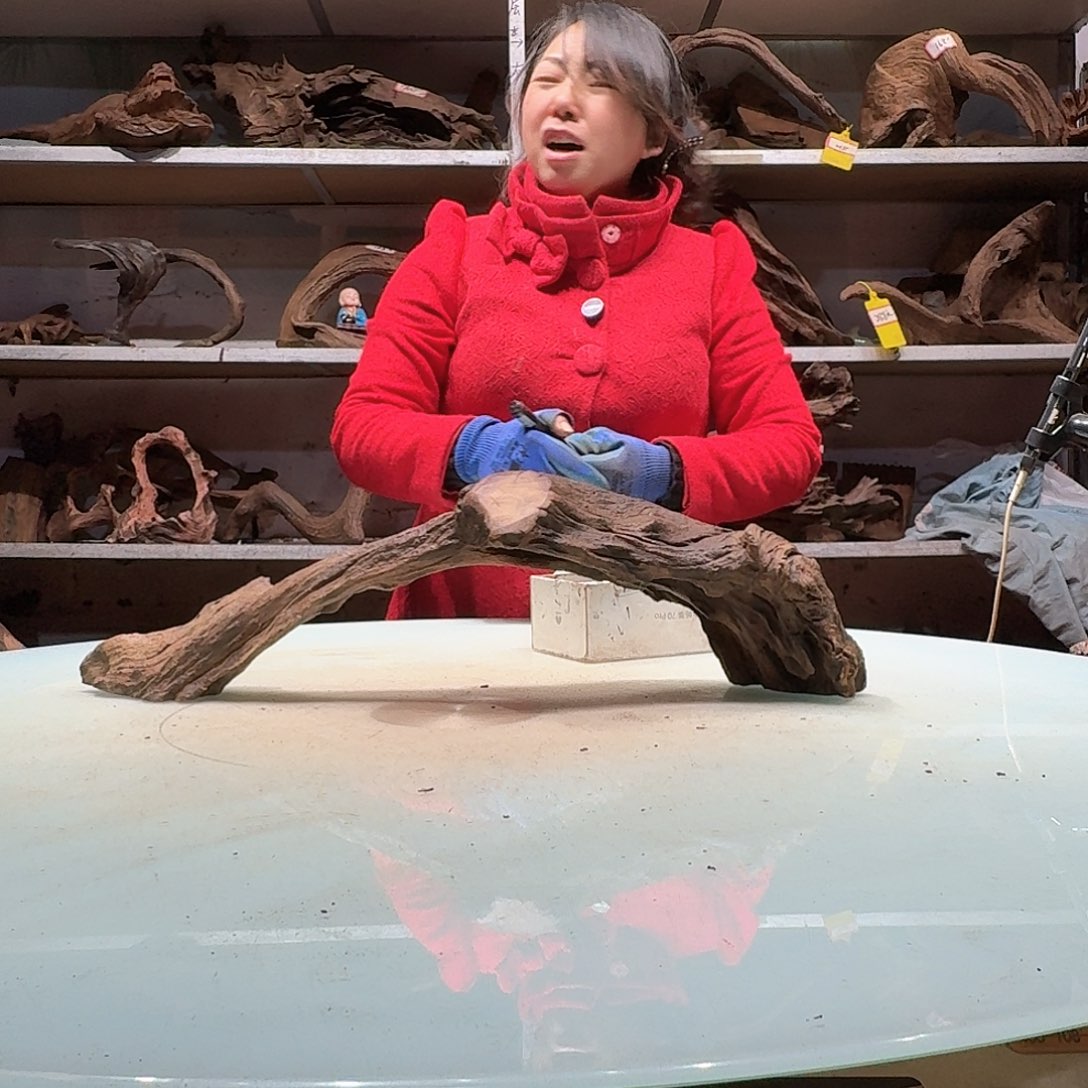 倍诸沉木不包损必褪色看**切6138