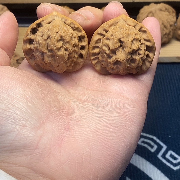 核桃38图图福利核桃