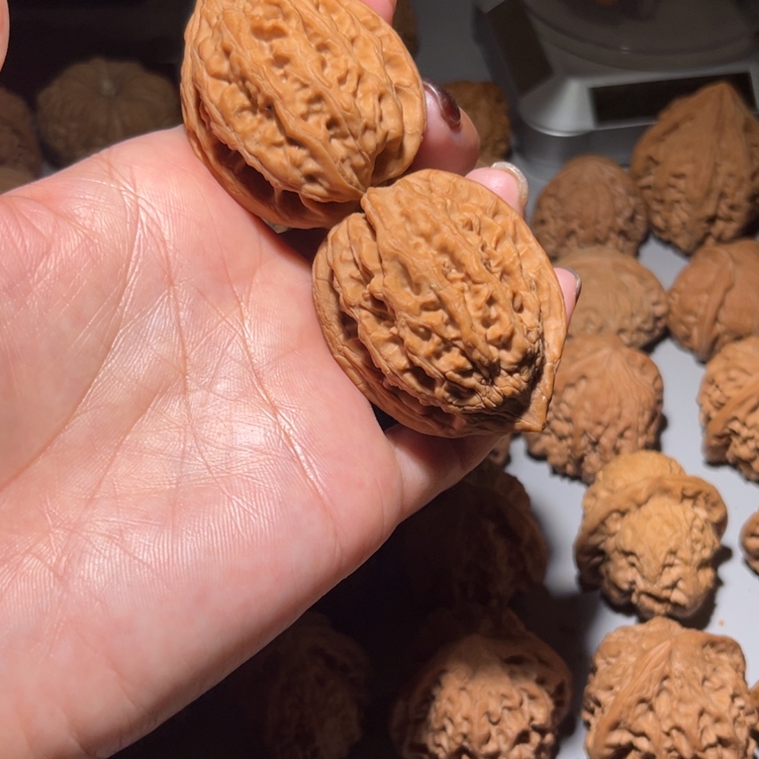 木质类大沽石40全品
