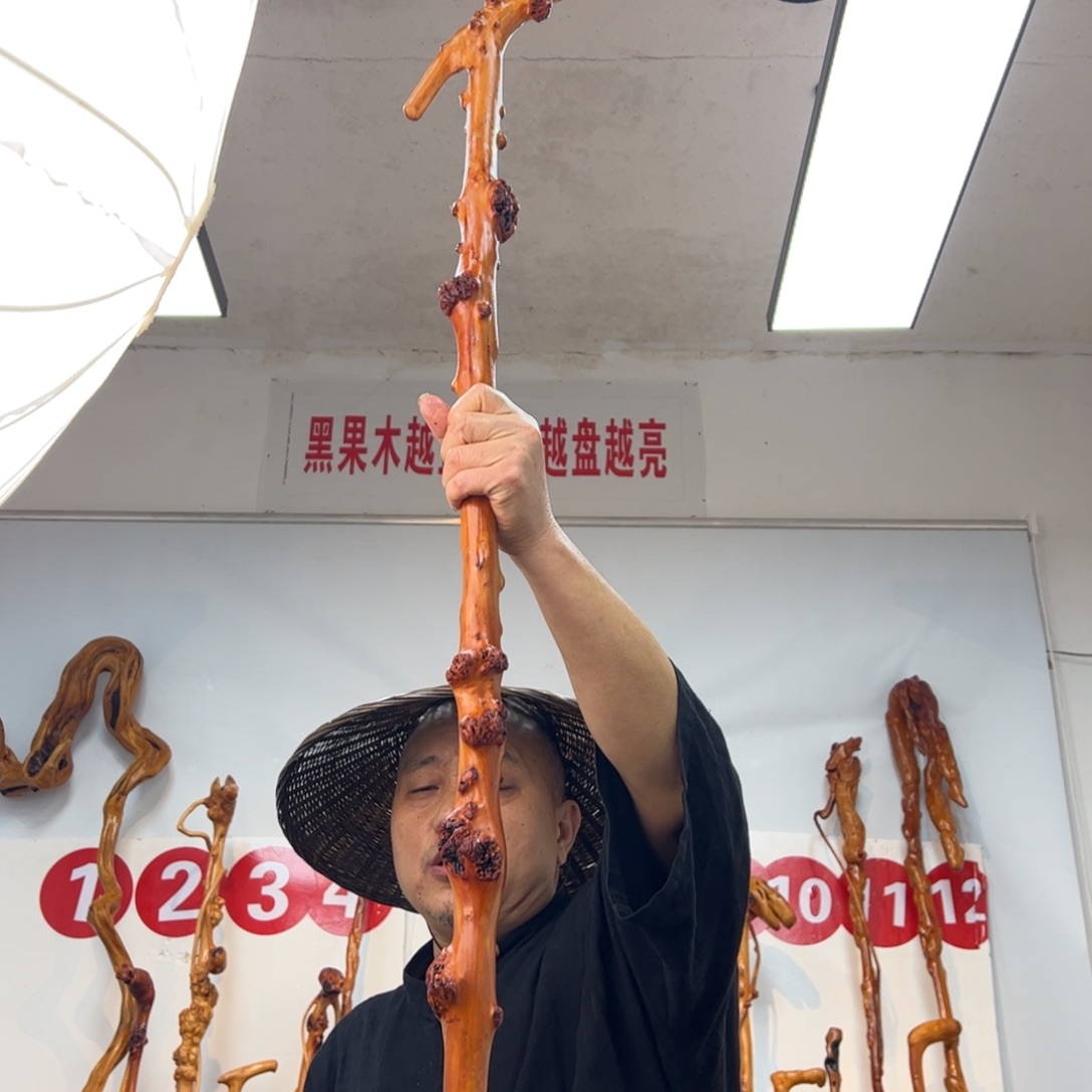 其他黑果木黑果木455