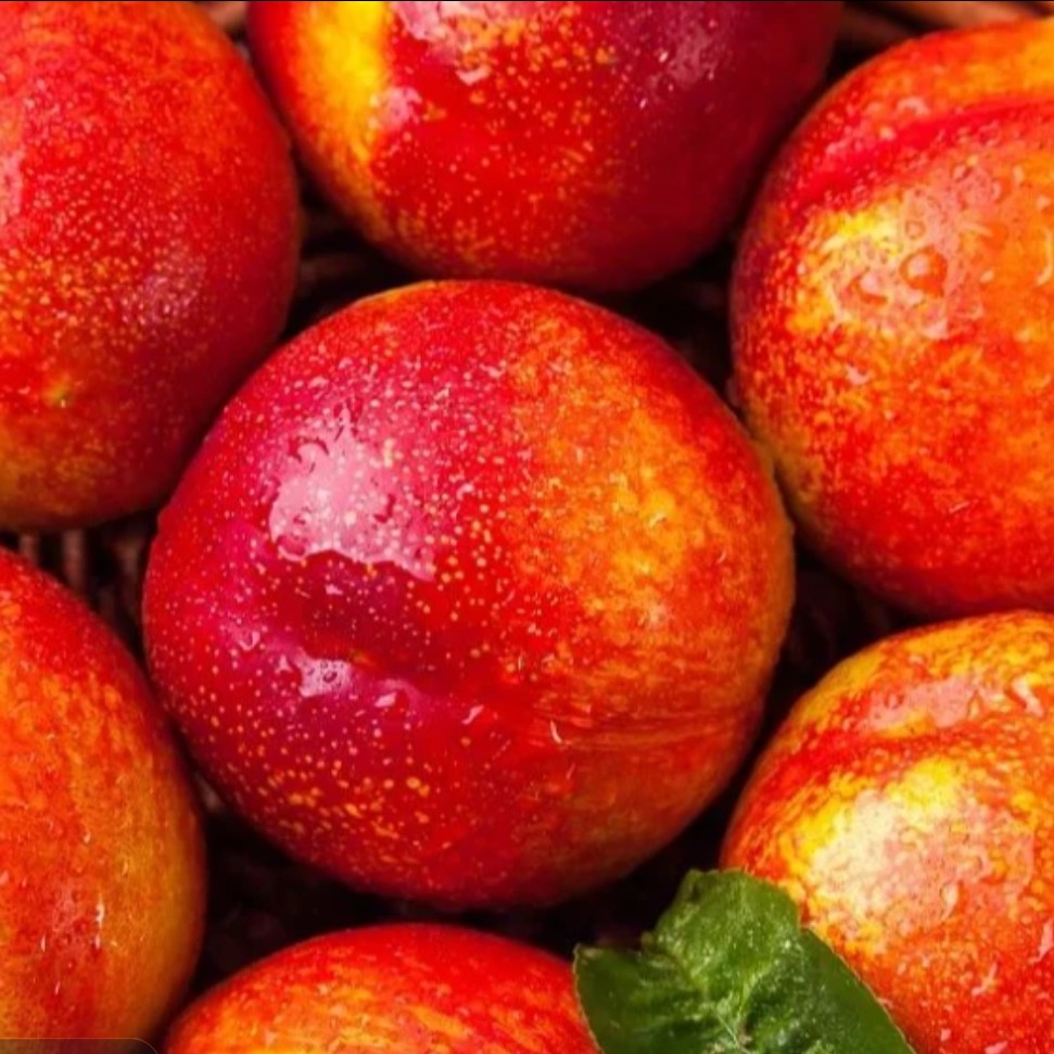 澳洲油桃3颗 又脆又甜山东省