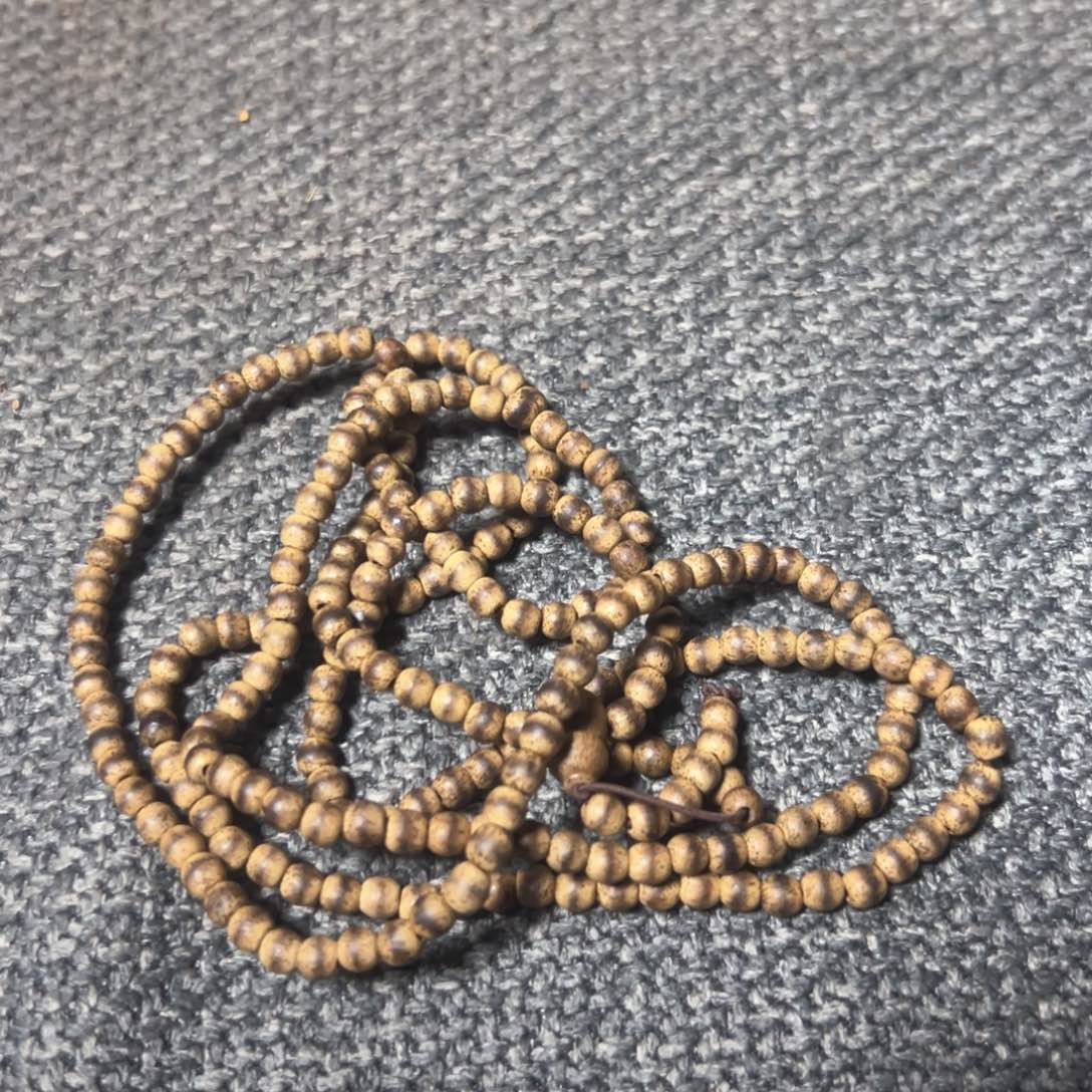 木欢迎老师讲课了