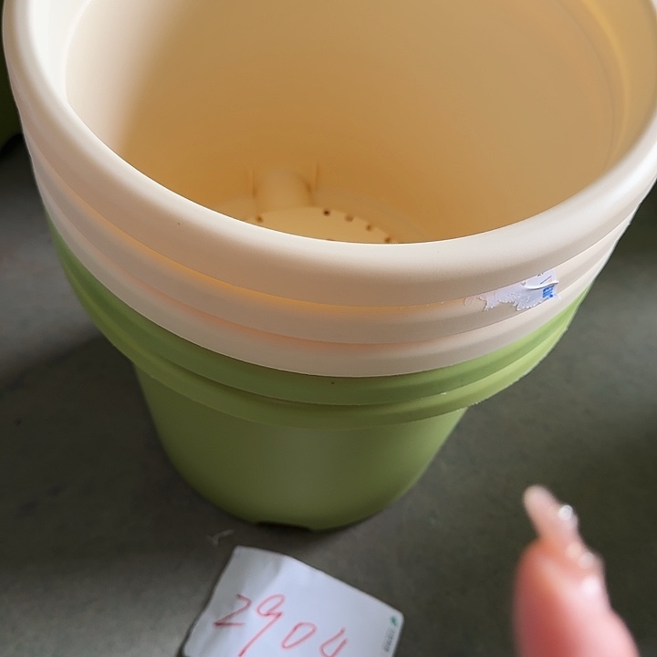 编号2904口29无托5个