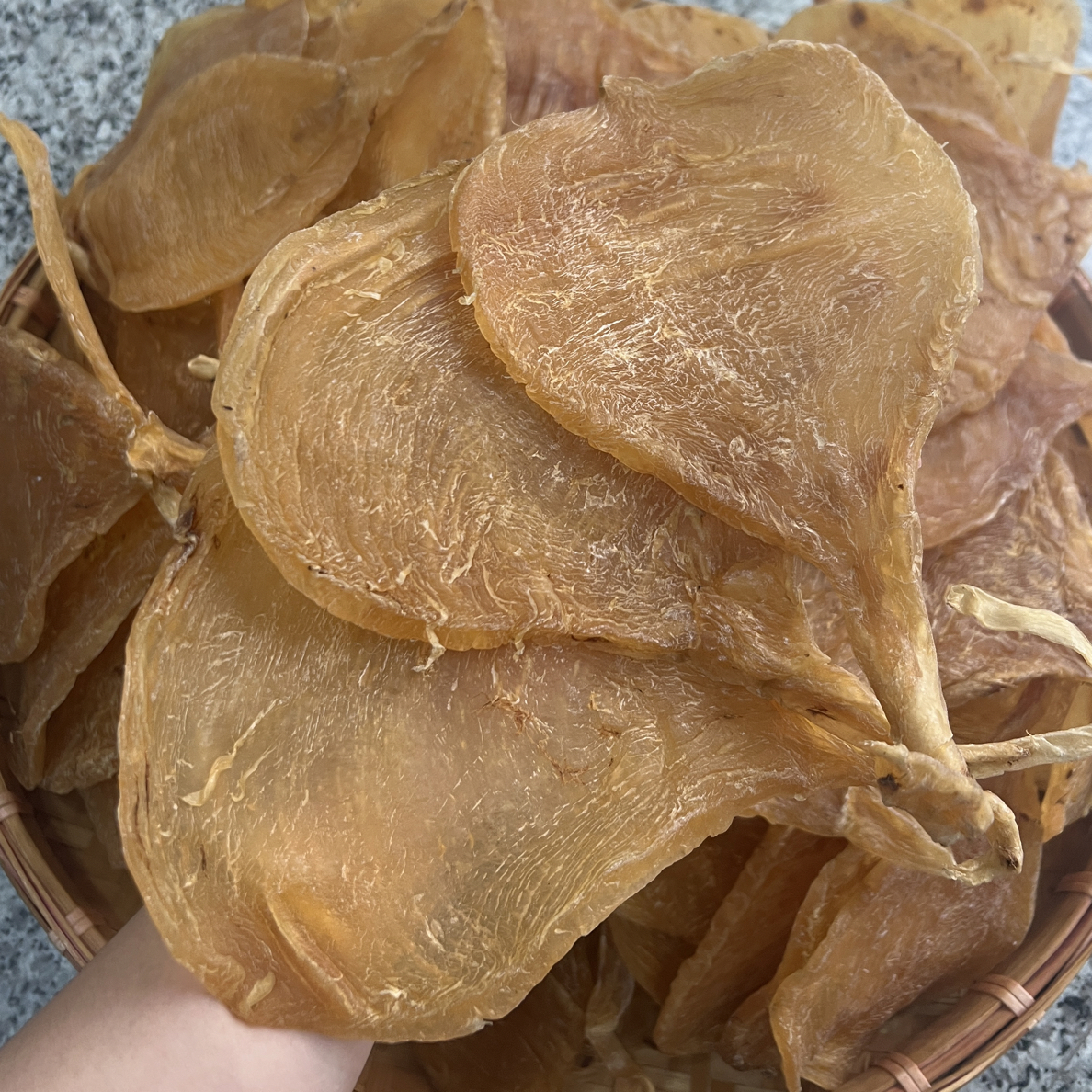 鱼胶老货厚肉日常滋补花胶