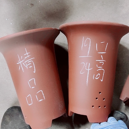 红陶紫砂紫砂紫砂