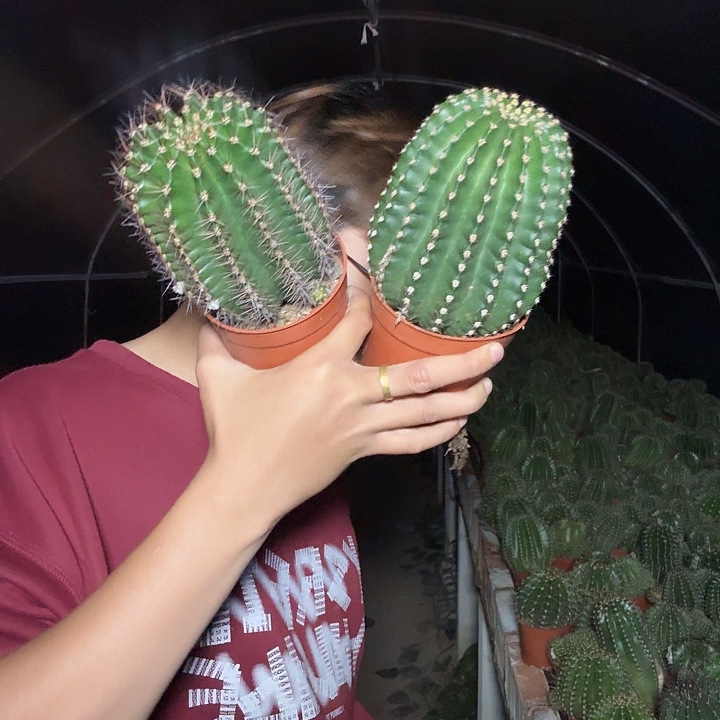 开***烊无花朵彩草哈哈哈哈哈哈哈