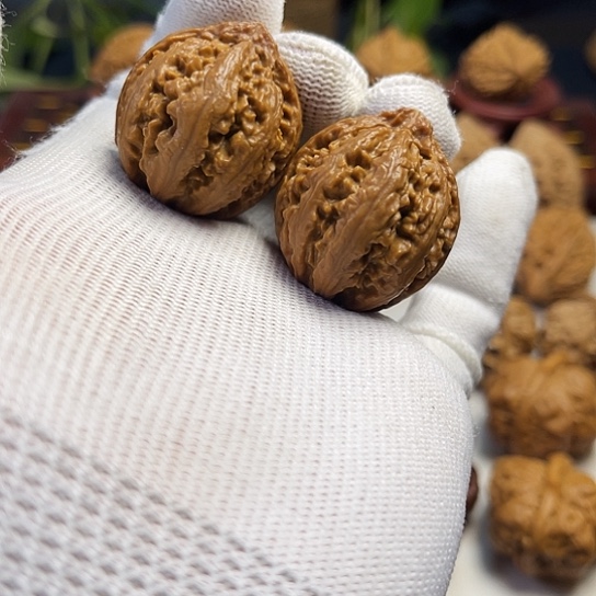 核桃粗筋文玩核桃