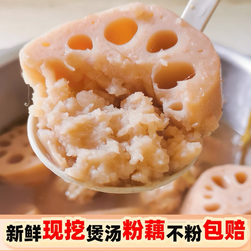 正宗洪湖莲藕新鲜现挖煲汤粉藕糯米藕九孔莲藕中段藕〖村花专属〗