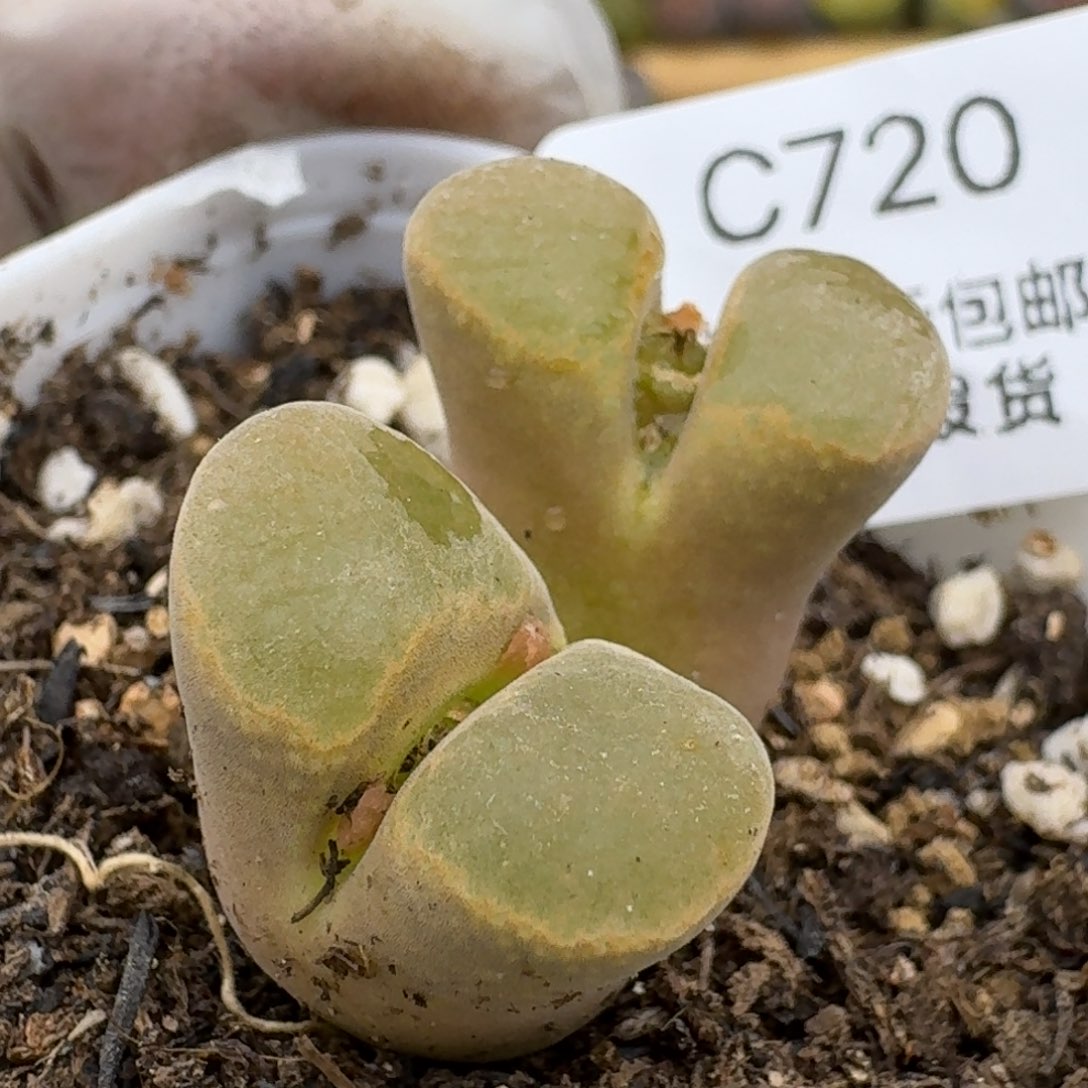 720哈哈哈哈哈哈哈哈哈