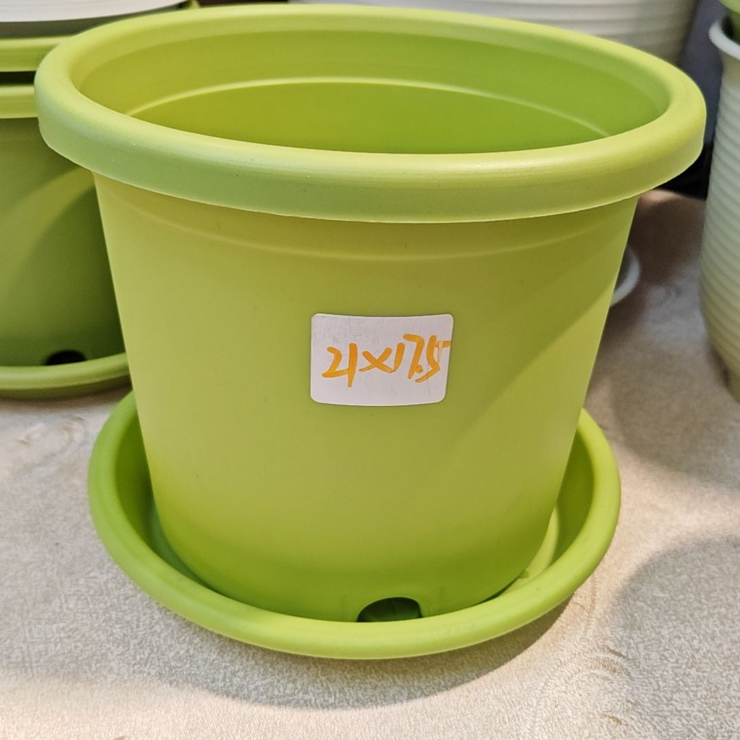 树脂四季盆外口径21，果绿带托五个