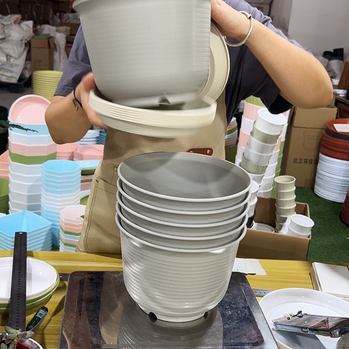 矮陶口21高15米灰带托6只