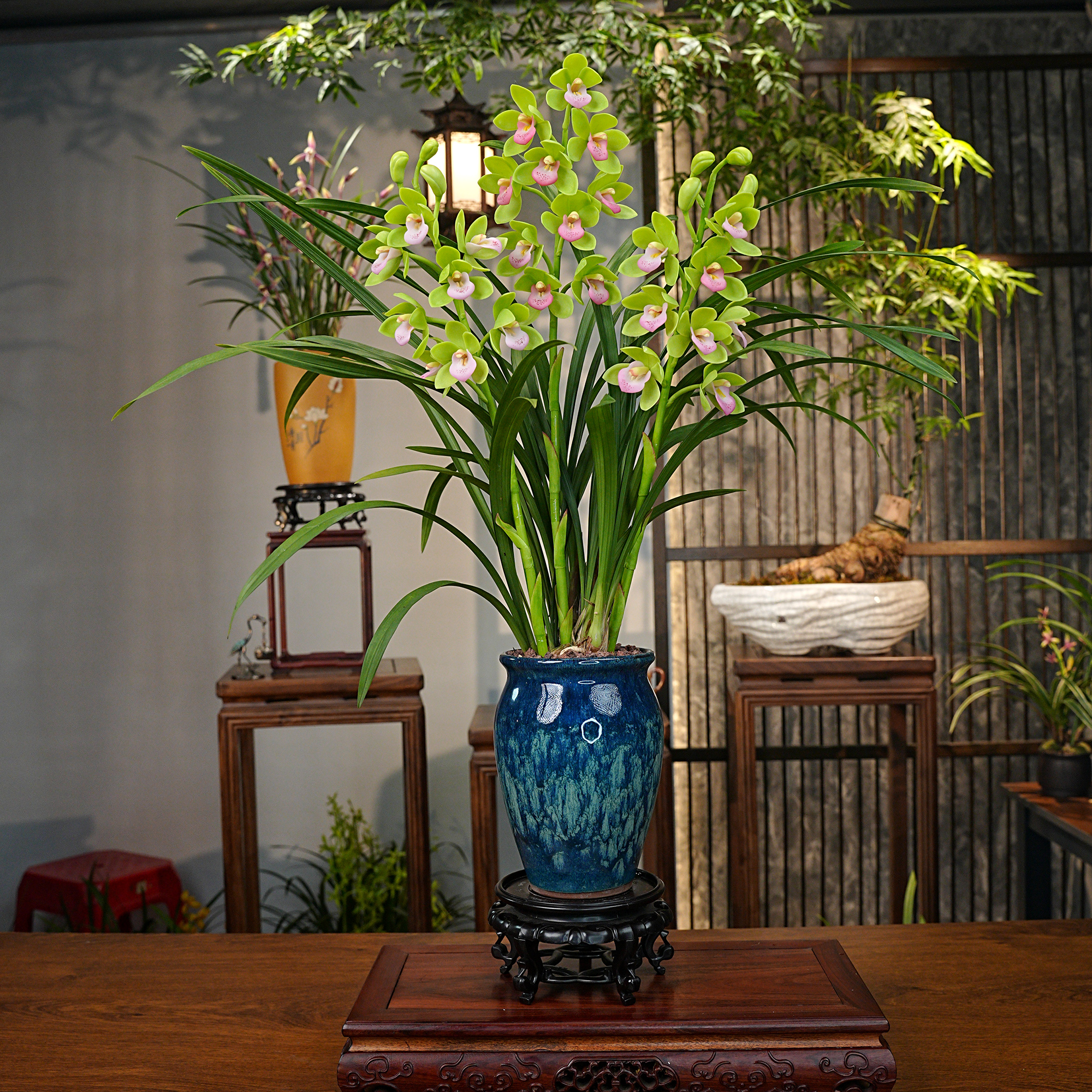 惠兰铭品【高山香兰】带花苞 浓香型兰花 景德镇大师 青花陶瓷罐
