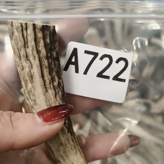 加***猫鹿角鹿角鹿角鹿角鹿角