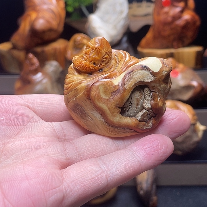 柏木（崖柏）3333333333333333