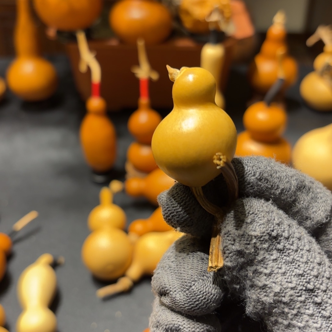 星***星葫芦8888888888888888