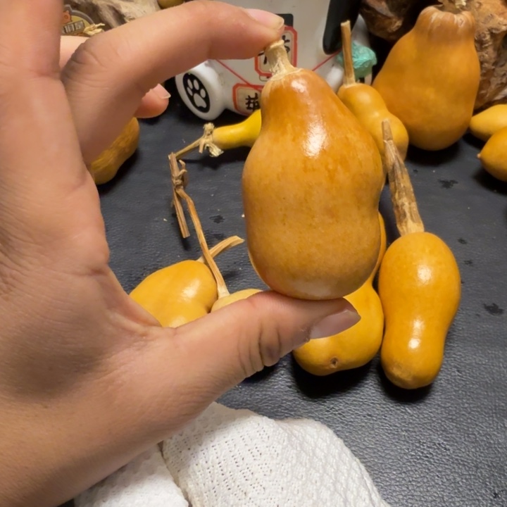 一***布66……………………………………