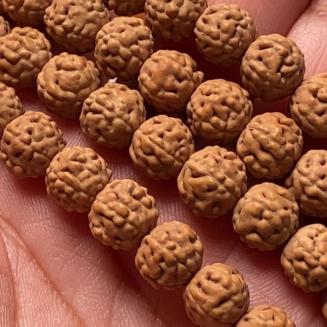 吊坠金刚菩提伊*蛤蟆背8