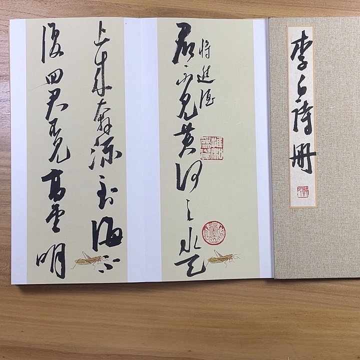 书法中书协老师书法