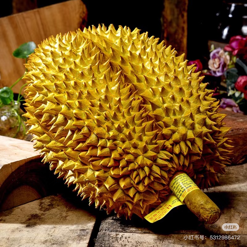 【水果西施区间】泰国金枕区间新鲜榴莲整颗鲜果树熟带壳A级软糯香甜2-10斤核小【顺丰次日达】金枕泰国东部