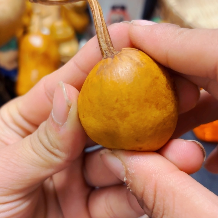 太*花风裂8888888888888