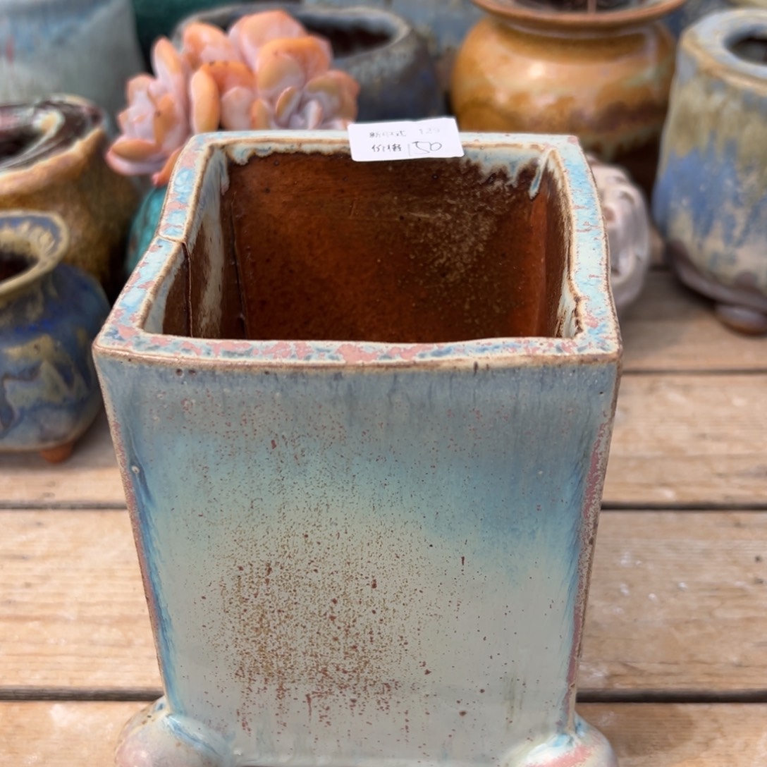 1987多肉花盆新中式上新129