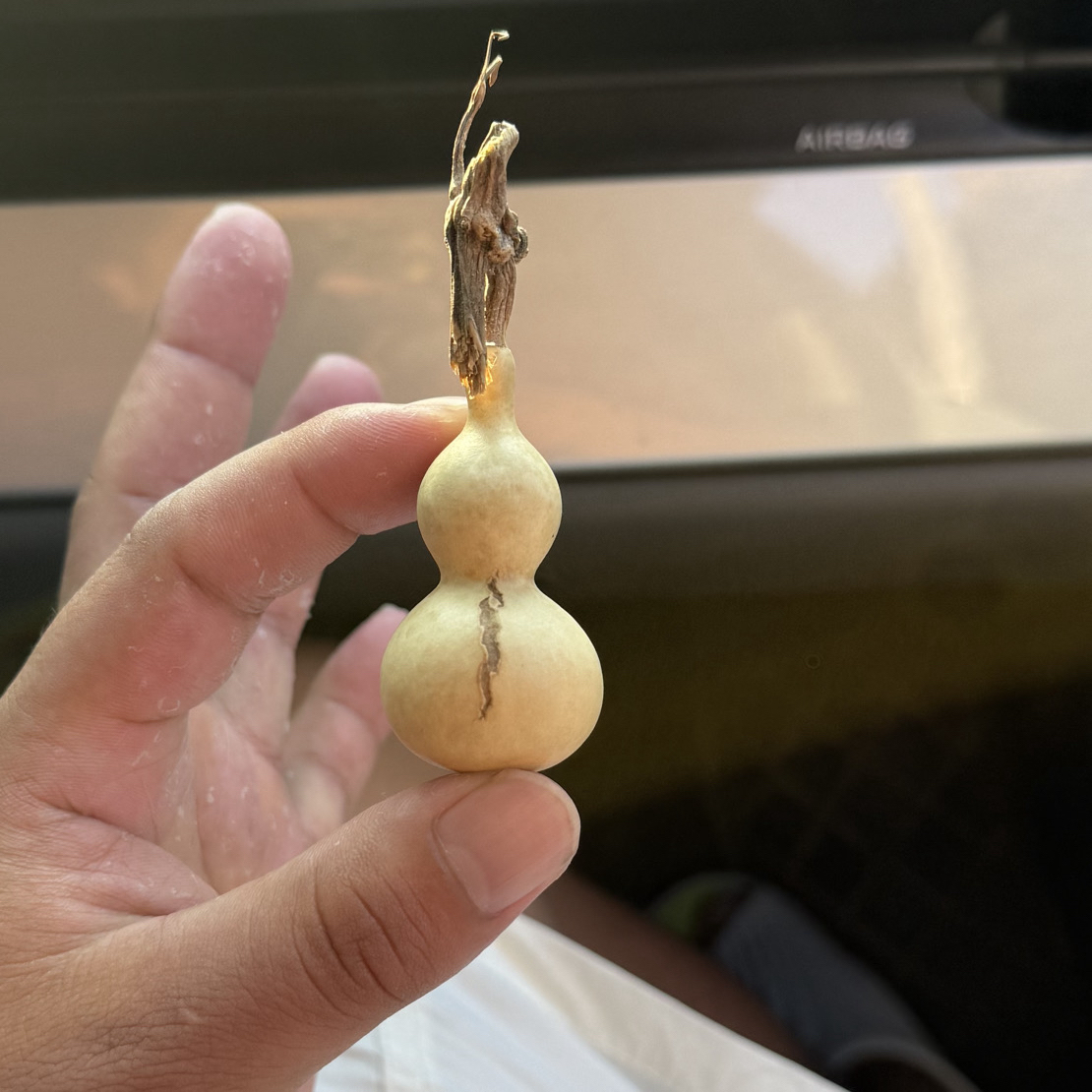 今喜葫芦直播专用链接 请勿私自下单