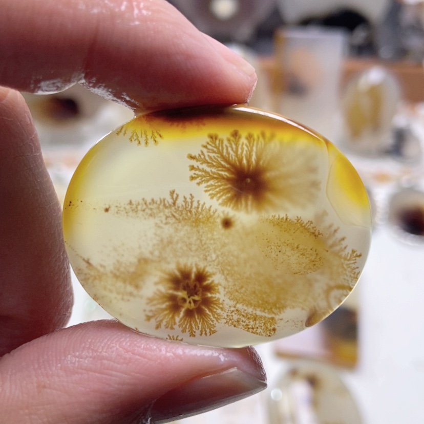 【闪购商品】玛瑙/玉髓颈饰未镶嵌