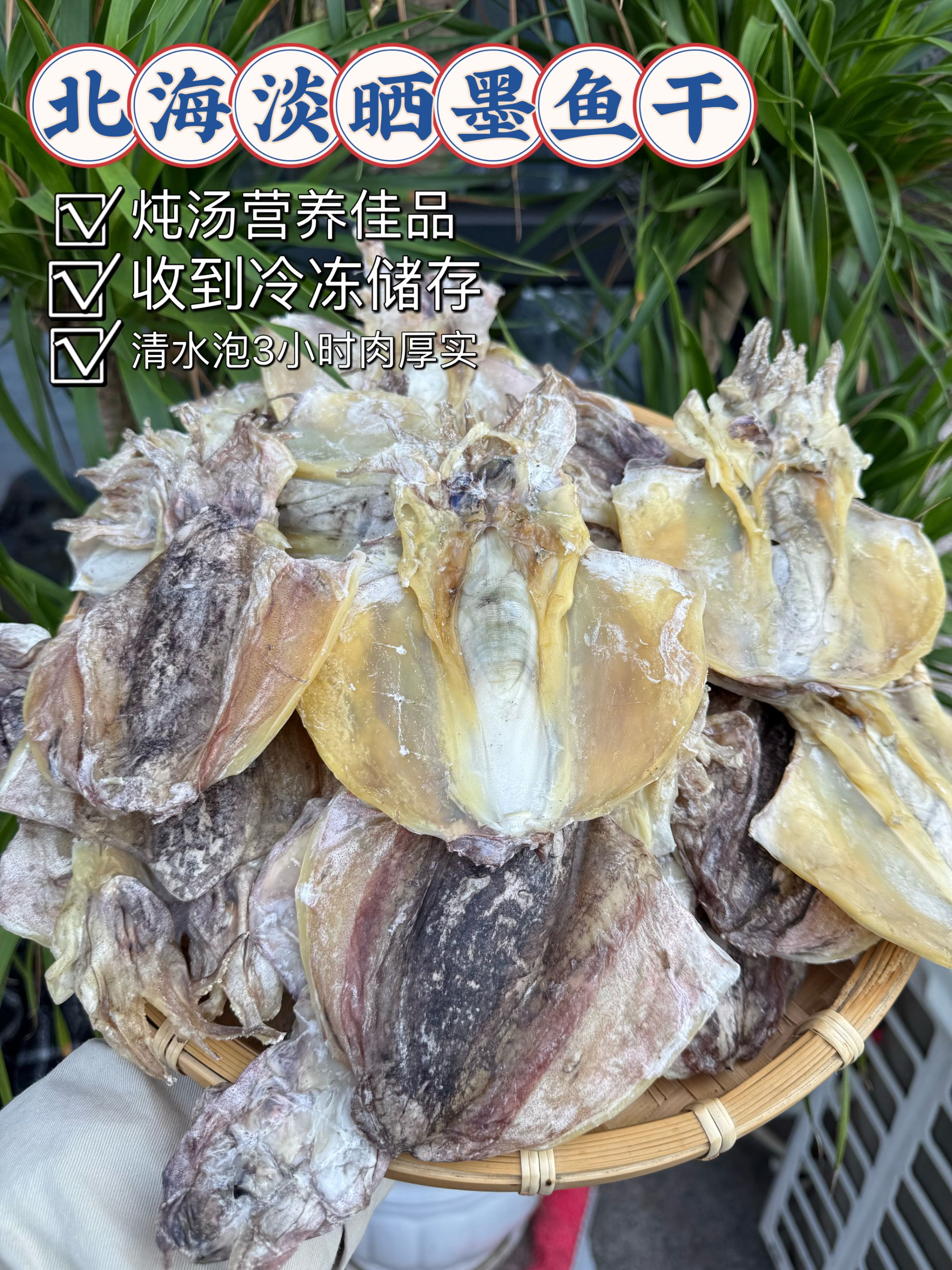 大号淡干精品墨鱼干煲汤滋补口感好