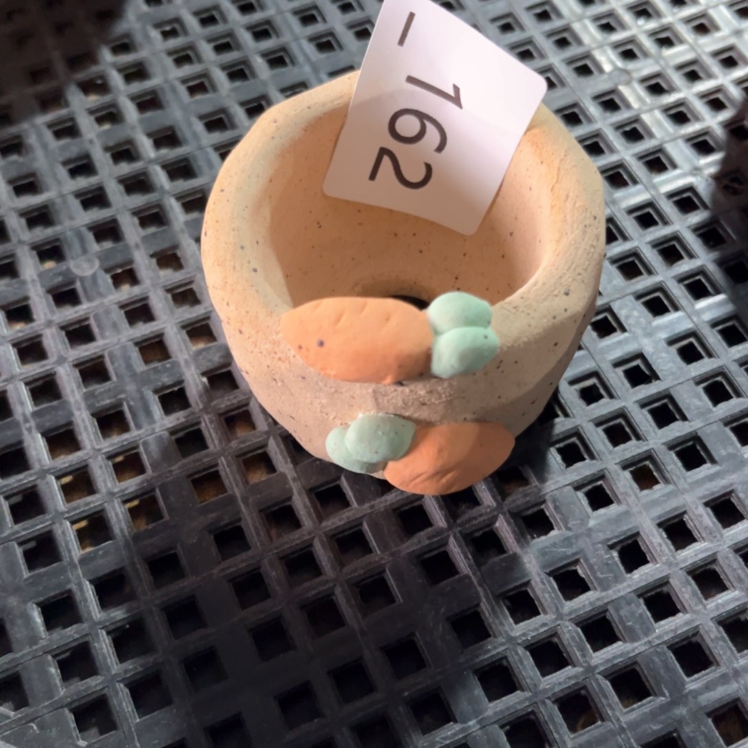 红陶162花盆  1个