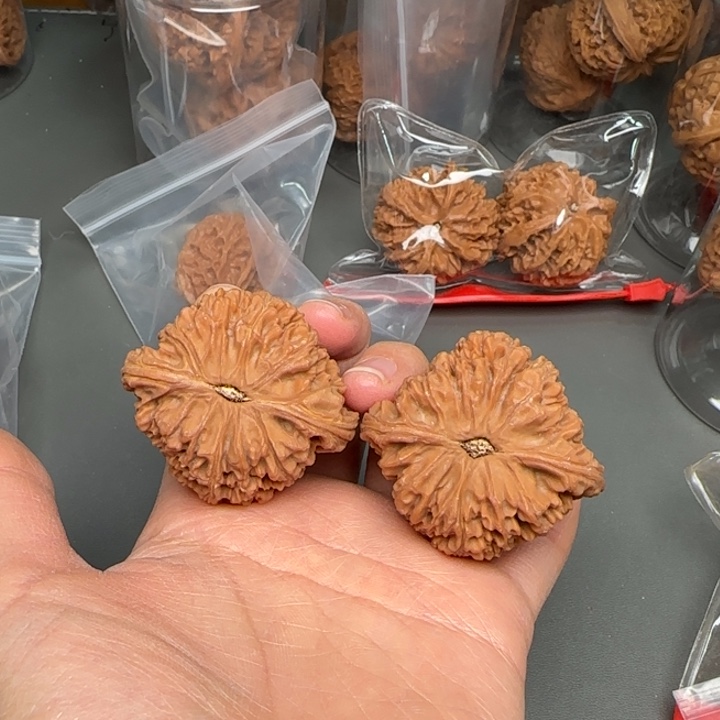 东***升把件文玩核桃Wreetyuuthhgjgfjhhhghj
